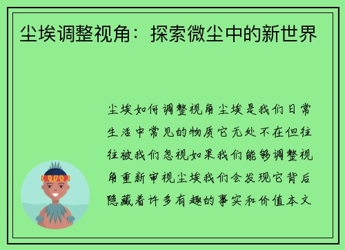 尘埃调整视角：探索微尘中的新世界